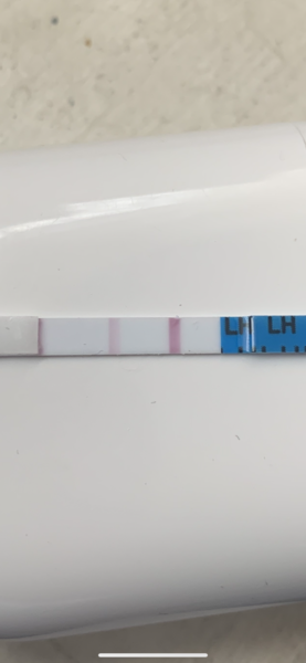 Very near positive OPK then negative 5 hours later?