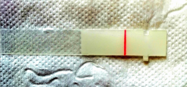 12dpo - can you see this squinter?