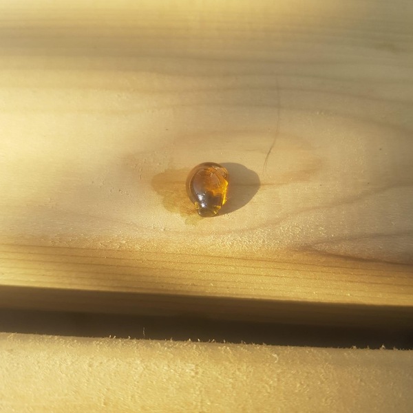 What’s this on my garden table