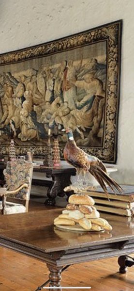 Look inside their house!