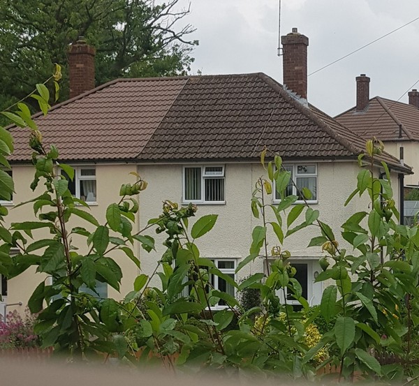 ex-council houses to buy - any issues to consider?