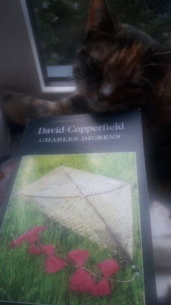 David Copperfield Dickensalong