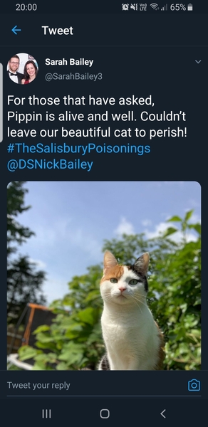 The Salisbury Poisonings