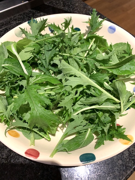 The Lockdown Saving and Spending Continues! May Frugaleers continued