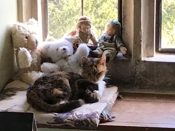 Westminstenders: Where are we now?