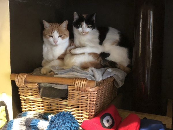 Where is your cats favourite place to sleep?