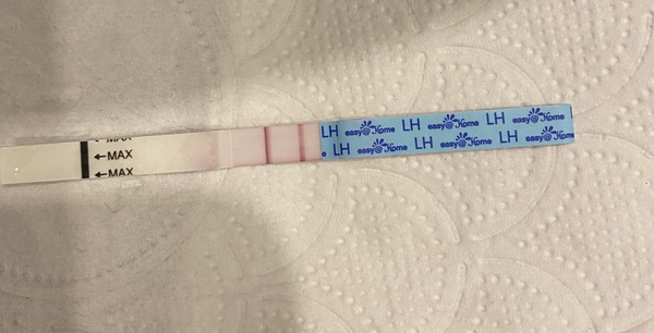 Catching up - ttc after miscarriage part 3