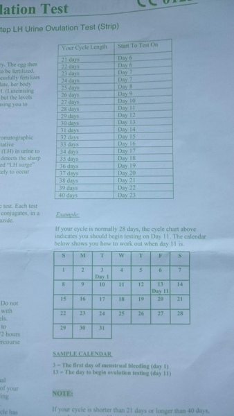Ovulation kits - when to test?