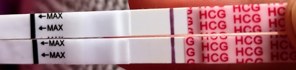 Am I going to be a mama? Pic included