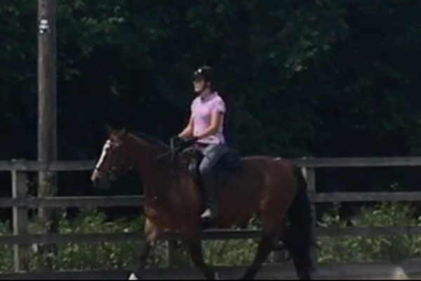 Outfit of the Day Thread - still shopping our wardrobes