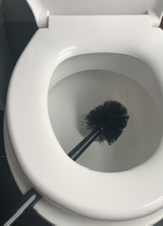 To show you this toilet brush trick?
