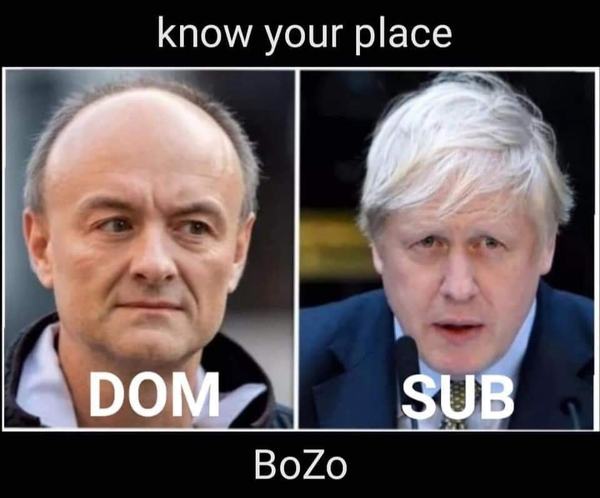 Westminstenders: How many Dead Cats Do You Get In A Thunderstorm?