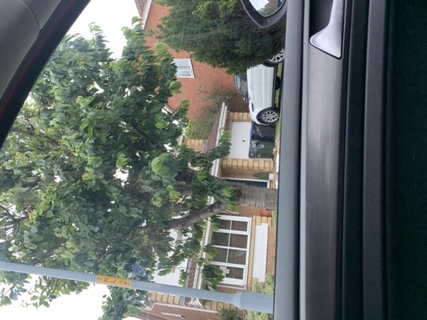 DS has eaten wild berries he found on a tree - help