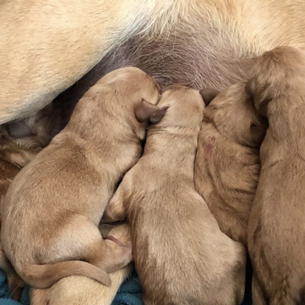 Dec19/Jan20 IVF Graduates - Thread 2