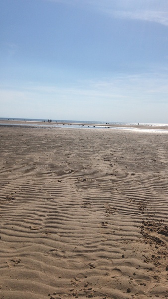 The cafe is still open thread 2