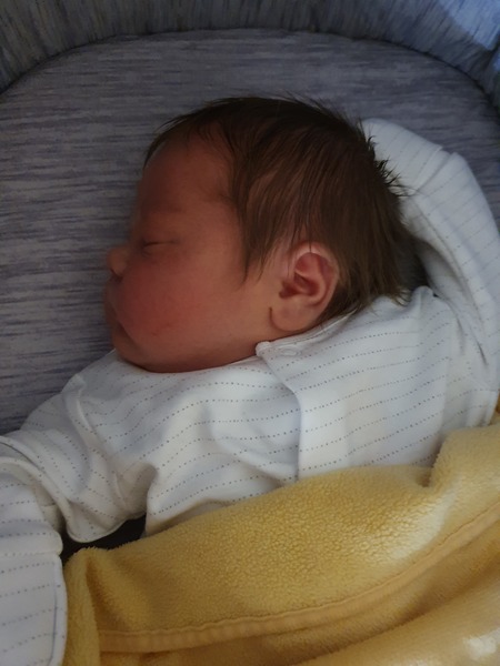 Due June 2020 thread 8: The one where all the babies appear!