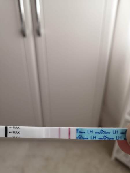 Letrozole Advice