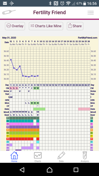 Penguin huddle 🐧🐧🐧 TTC after pregnancy loss - Thread 35 - time for some sticky BFP's