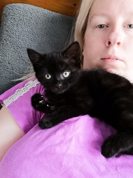 To ask you lot to help me name this kitten