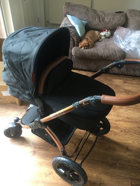 Thread for us classed as mature pregnant ladies