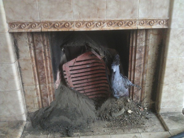 What's the grimmest/ weirdest thing you've found when you've moved into a house?
