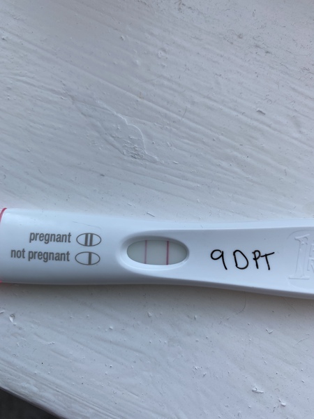 IVF Feb/March 2