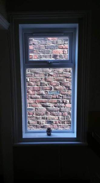Objecting to neighbour's extension request - right to light issue