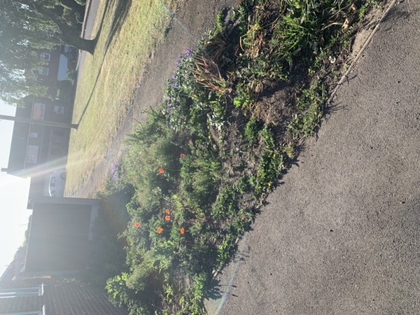 Gardener has wrecked the garden!