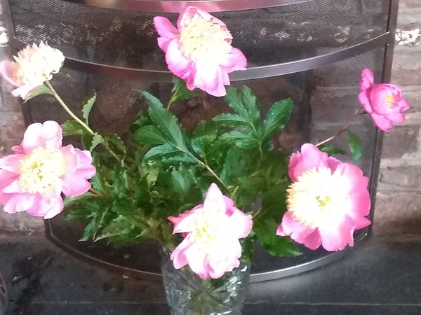 The Lockdown Saving and Spending Continues! May Frugaleers continued