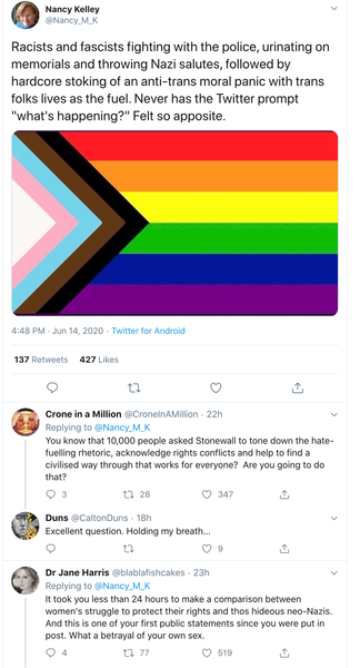 Nancy Kelley, new Chief Executive for Stonewall - women fighting for their rights compared to Nazis