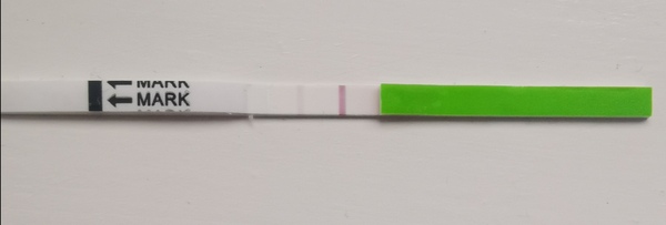 Implantation or early period? **content warning - contains photo**