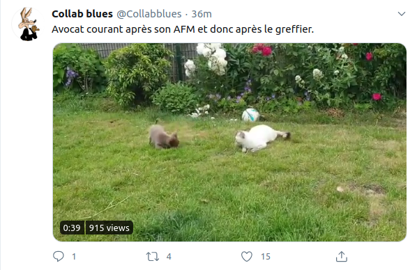 Westminstenders: Just another DEADline