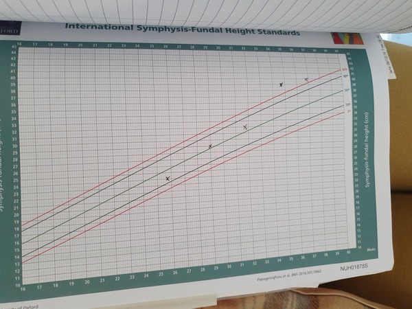 Due June 2020 thread 8: The one where all the babies appear!