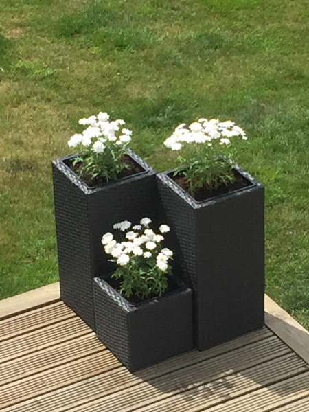Tall narrow planters for either side of front door?