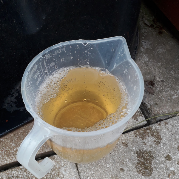 Water butt water looks like cider!!