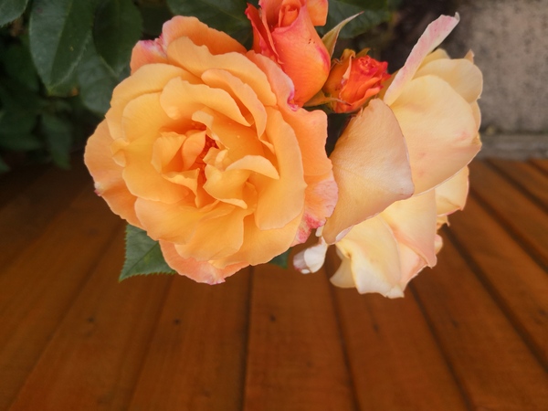 The 'old' lady style and beauty thread