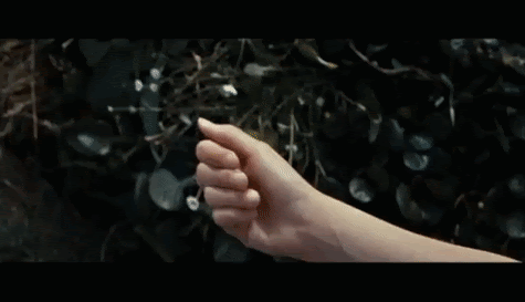 Flowers for J K Rowling