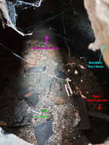 Found hole in garden
