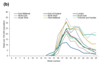 Daily numbers, graphs, analysis thread 11