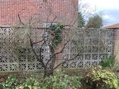 Gardener has wrecked the garden!