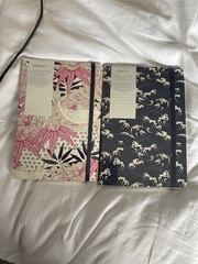 The Lockdown Saving and Spending Continues! May Frugaleers continued