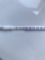 Starting TTC again after missed miscarriage
