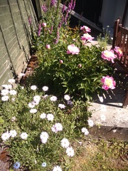 The Lockdown Saving and Spending Continues! May Frugaleers continued