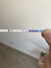 Ovulation tests