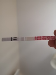 Is there a line or am I finally going crazy?!