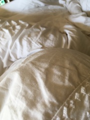 White bedding is the best