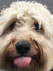 Outfit of the Day Thread - still shopping our wardrobes