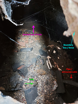 Found hole in garden