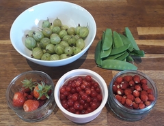 Allotment/Veg Patch Thread 15 - will winter ever end?