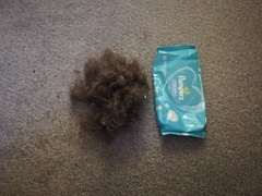 I knew my hoover was crap... I've practically made a second cat!
